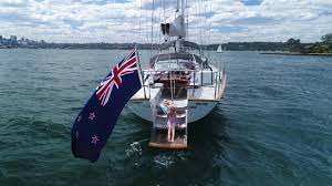 cotton blossom in Australia